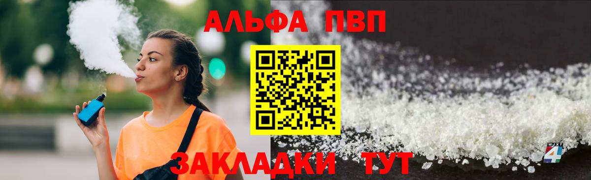 Alfa_PVP СК КРИС Курчалой