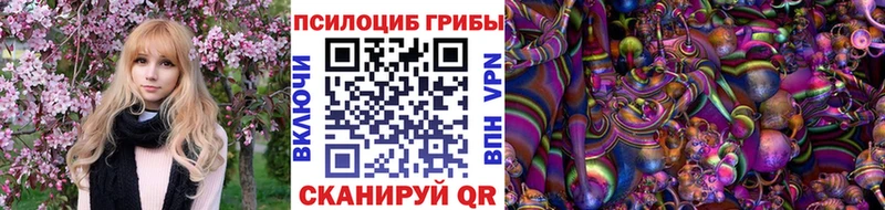 Псилоцибиновые грибы прущие грибы  Курчалой 