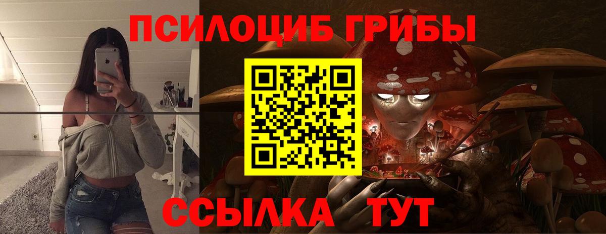 Галлюциногенные грибы GOLDEN TEACHER  Вход с VPN  Галлюциногенные грибы мухоморы  Курчалой 