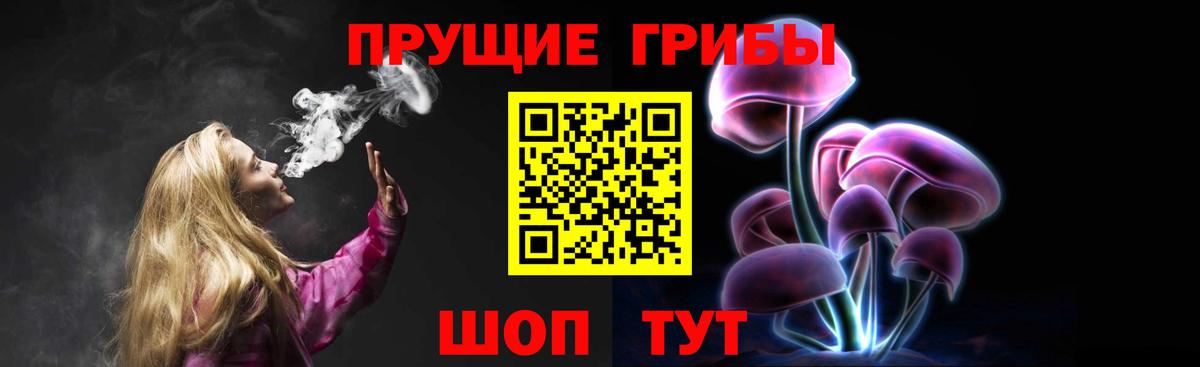 Галлюциногенные грибы Cubensis Курчалой