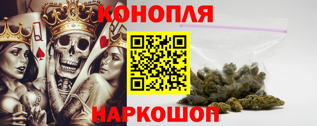 Бошки Шишки планчик Курчалой