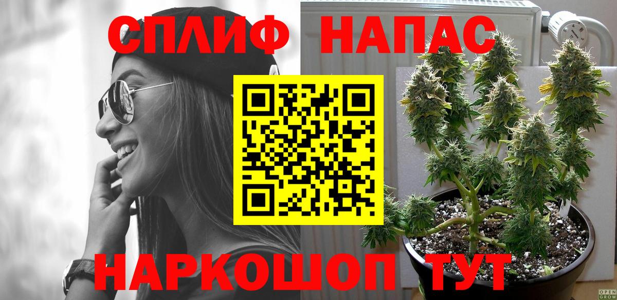 МАРИХУАНА OG Kush  Курчалой  Марихуана гибрид  Марихуана OG Kush 